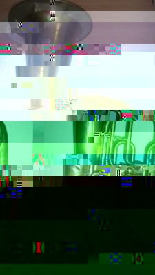 SL554605.JPG