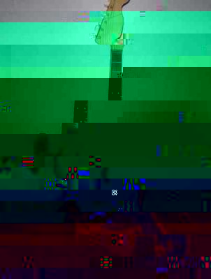100_1782klein.jpg