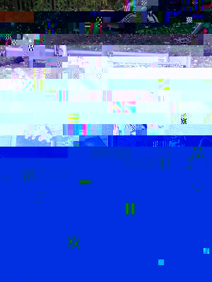 sax1_redux.jpg