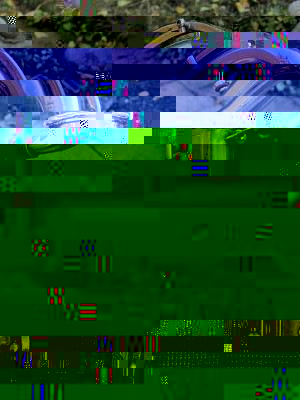 sax1oben_redux.jpg