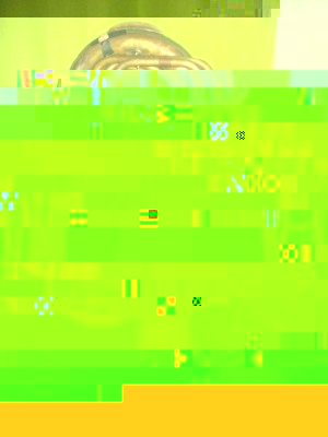 Vorderseite