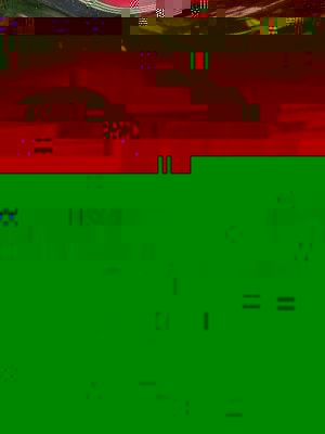 record PU.jpg