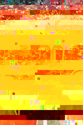 Gi13d [%P].jpg