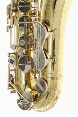 Amati Klappenschützer.jpg