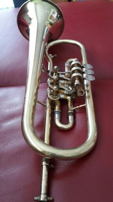 20161029_103107_resized_resized.jpg