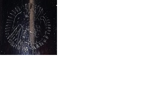 Logo Adler neu.png