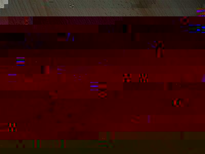 Bild 390.jpg