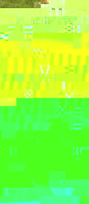 MusimaForumKorriektur.JPG