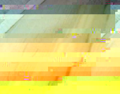 Todt E in Gitarre.jpg