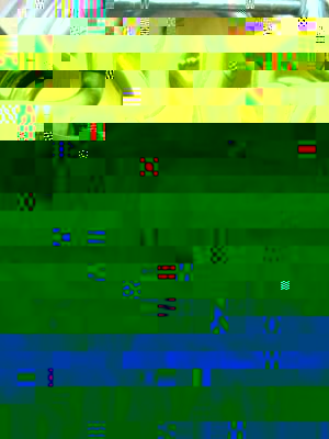 DSC00037 2.JPG