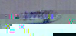 Bild026.jpg