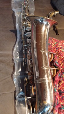 IMG-20230402-WA0050.jpeg