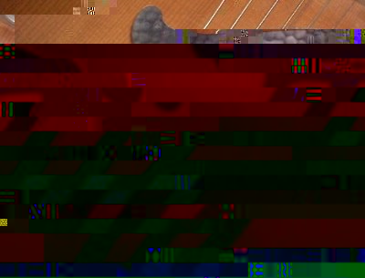 vogtl saitenh.jpg