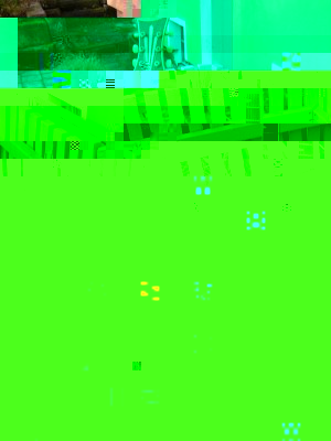 BILD3786a.JPG