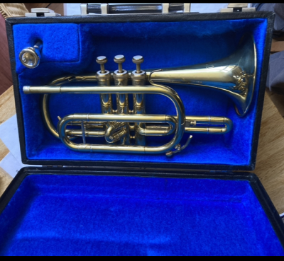 Neueste Fotos anzeigen.png