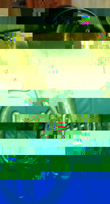 IMGP0124.JPG