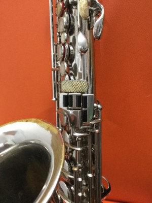WORLD-MASTER Alto Max Keilwerth_14.jpg