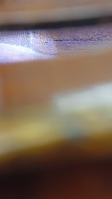 IMG20251004160503.jpg