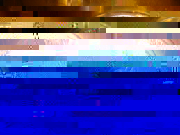 DSC07973.JPG