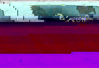 Bruno 4 400.jpg