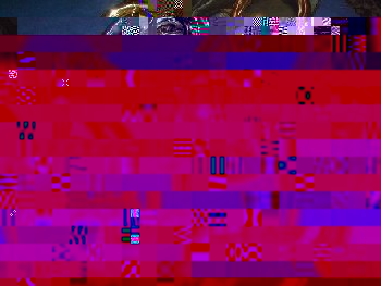 DSCN9312.JPG
