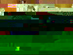 DSCI06.JPG