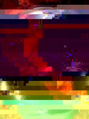 A_Oehler_31.jpg